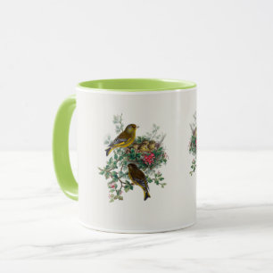 The European greenfinch Mug