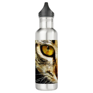 The expressive look of a domestic cat 710 ml water bottle