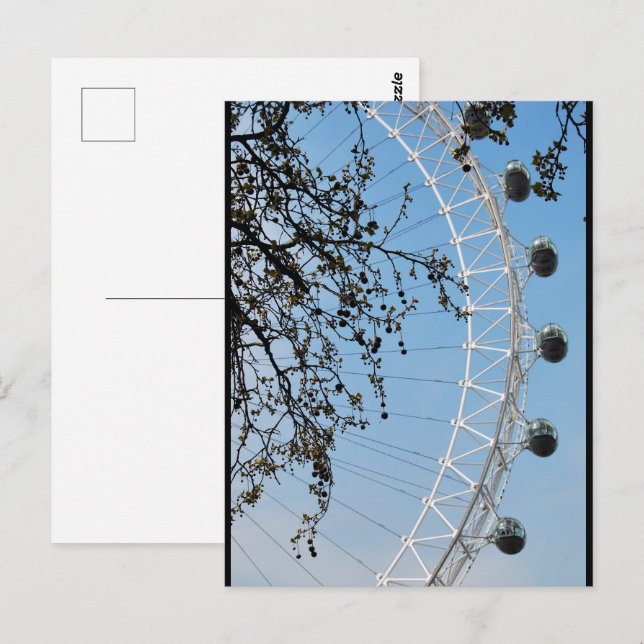 The Eye in Autumn Postcard (Front/Back)