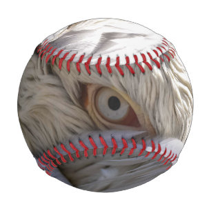 The Eye of a Pelican Baseball