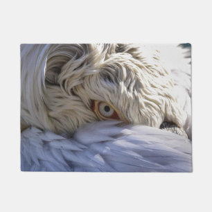 The Eye of a Pelican Doormat