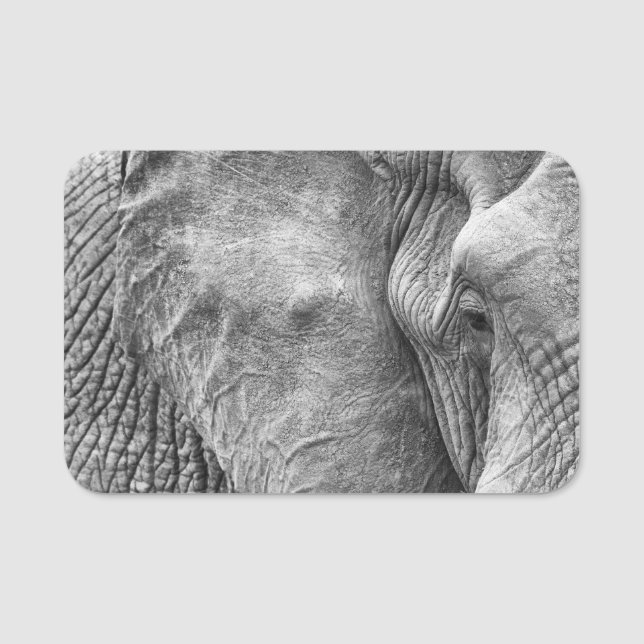 The eye of an elephant name tag (Front)