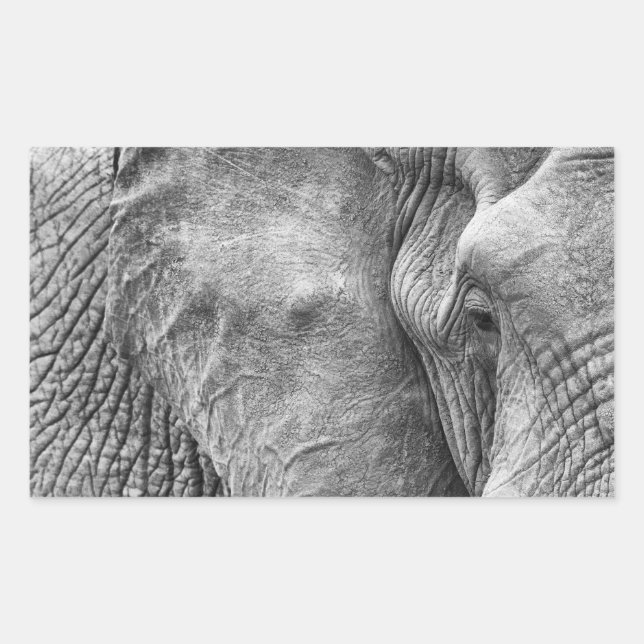 The eye of an elephant rectangular sticker (Front)