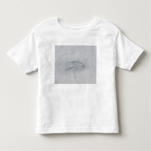 The eye of Hurricane BIll Toddler T-Shirt
