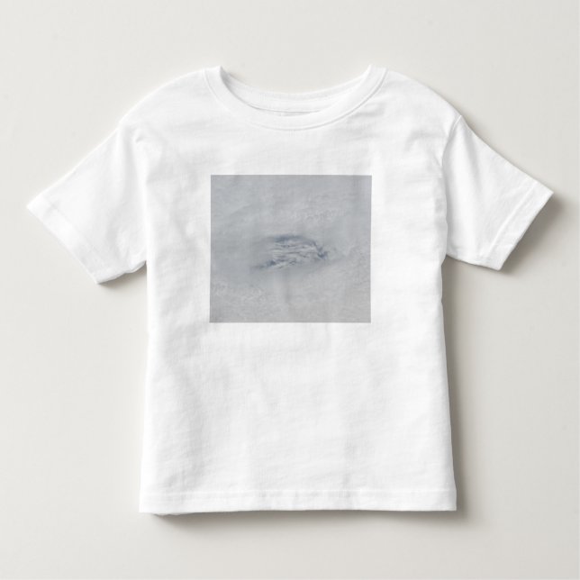 The eye of Hurricane BIll Toddler T-Shirt (Front)