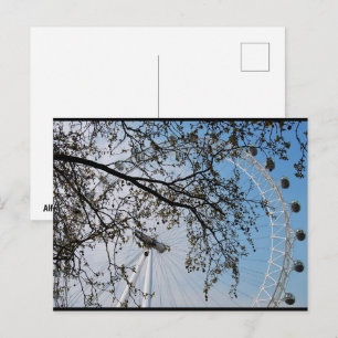The Eye through Autumn Leaves Postcard