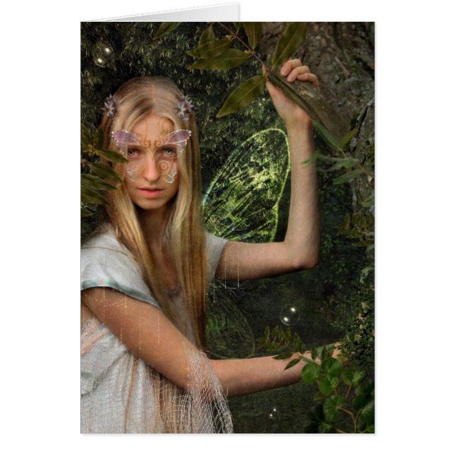 the eyes of beauty (Front)