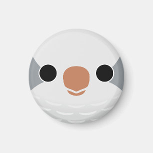 The face of a Grey Monk Parakeet Magnet