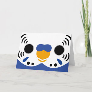 The face of a normal violet male budgie card