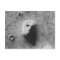 The FACE On MARS-_-Cydonia Mensae