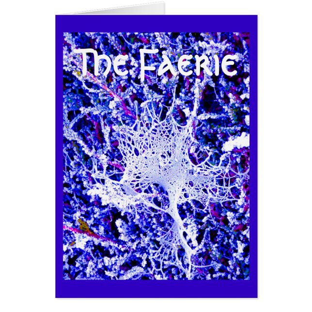 The Faerie - Spider Web (Front)