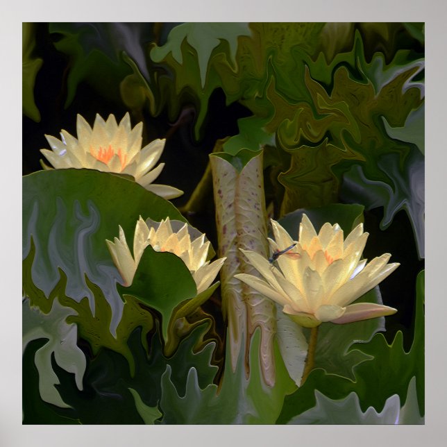 The Fae's pond.... Poster (Front)