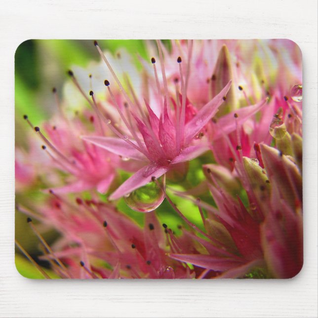 The Fairy Crown Mouse Pad (Front)