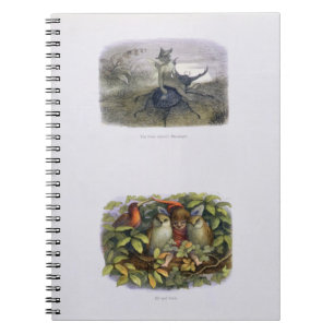 The Fairy Queen's Messenger, and Elf and Owls, ill Spiral Notebook