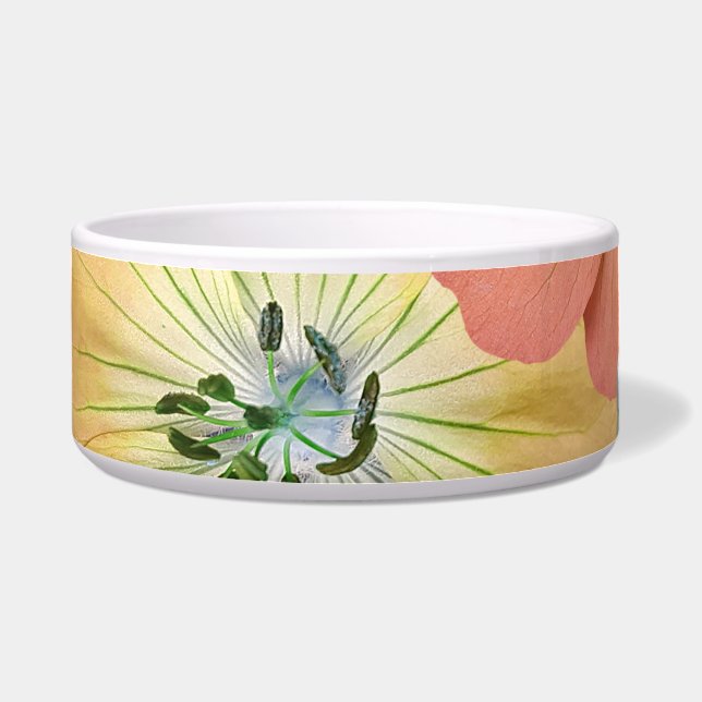 The fairy will come out soon 1 (Front)