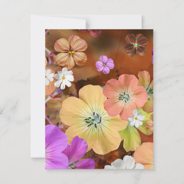 The fairy will come out soon 1 card (Front)