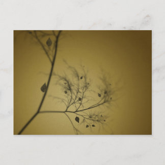The Fall Tree Postcard