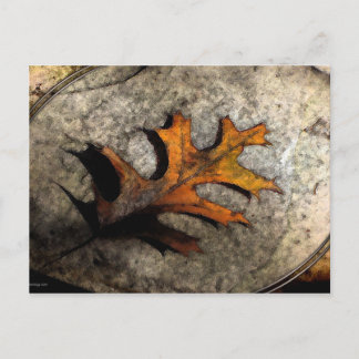 THE FALLEN POSTCARD