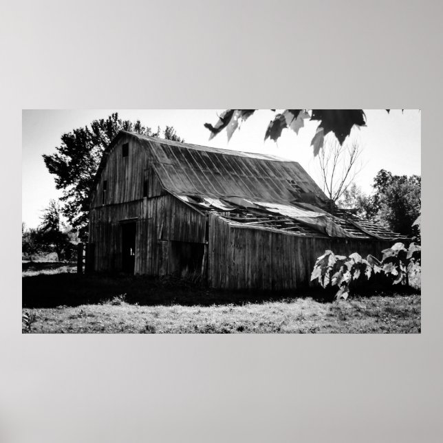 The Farm Poster (Front)