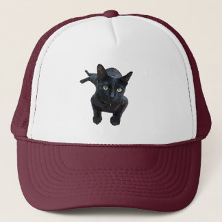 The Fascinating Appeal of Black Cat Trucker Hat