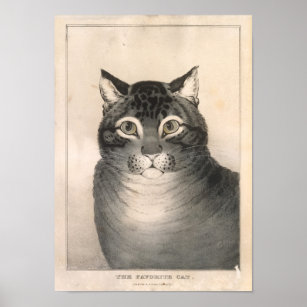 The Favorite Cat Lithograph - Nathaniel Currier Poster
