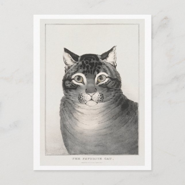The Favourite Cat (1838–48) Lithograph Postcard (Front)