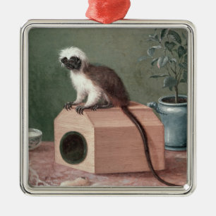 The Favourite Monkey of Carl Linnaeus Metal Tree Decoration