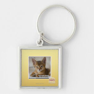 The feather is dead. key ring