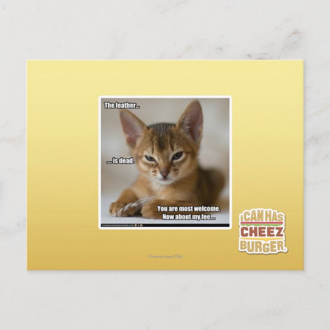 The feather is dead. postcard (Front)