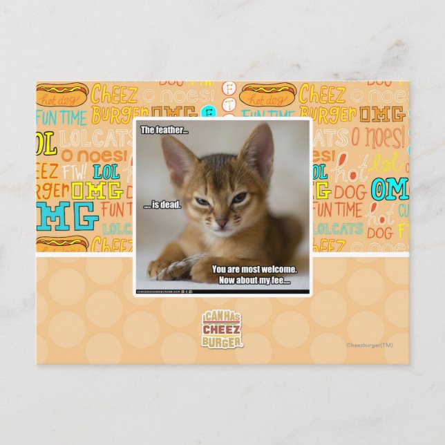 The feather is dead. postcard (Front)