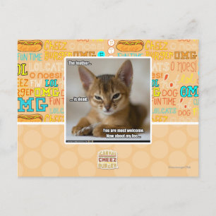 The feather is dead. postcard