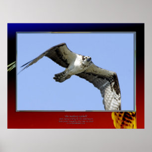 the Feathery Eyeball Poster