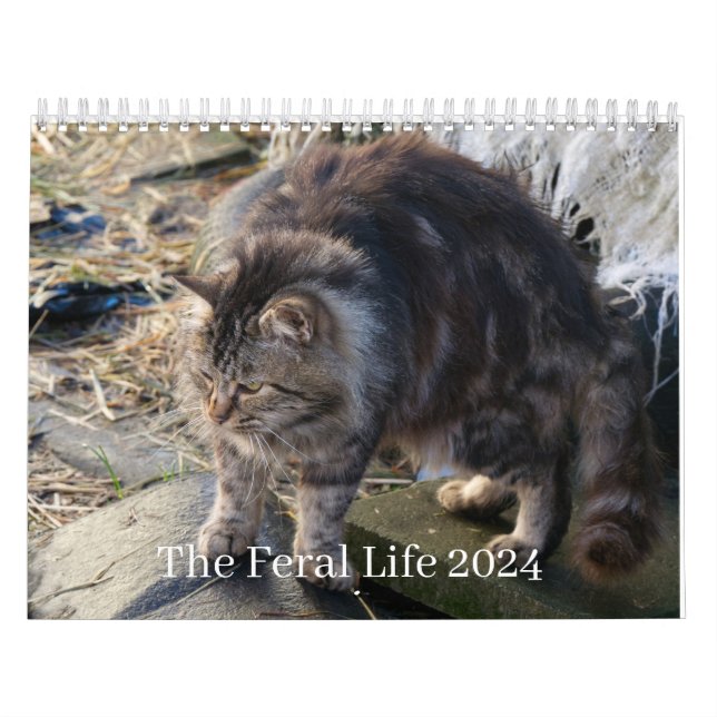 The Feral Life 2024 Beautiful Natural Cats Calenda Calendar (Cover)
