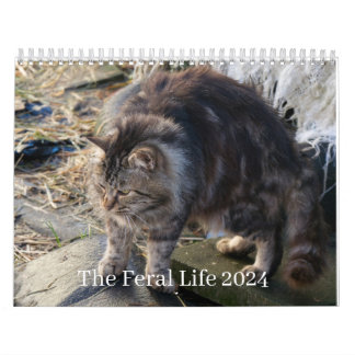 The Feral Life 2024 Beautiful Natural Cats Calenda Calendar