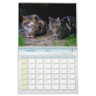 The Feral LIfe Photo Cats 2026