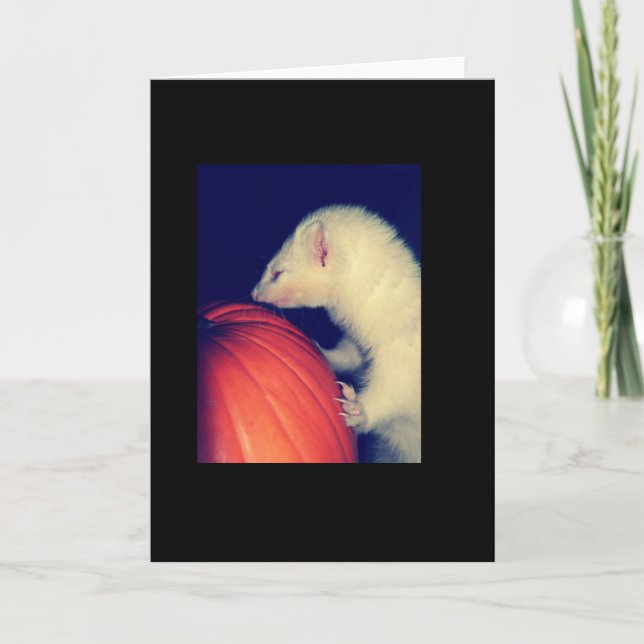 The Ferret and The Pumpkin Card (Front)