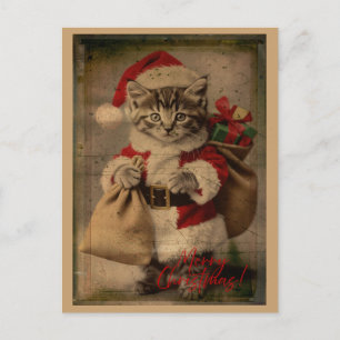 The 'Festive Folly' Kitten Christmas Postcard