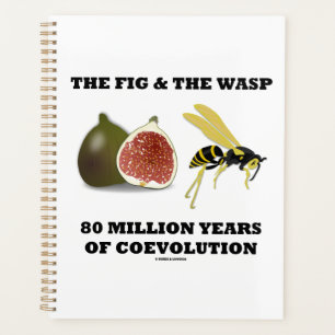 The Fig & The Wasp 80 Million Years Of Coevolution Planner