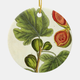 The Fig Tree, plate 125 from 'A Curious Herbal', p Ceramic Tree Decoration