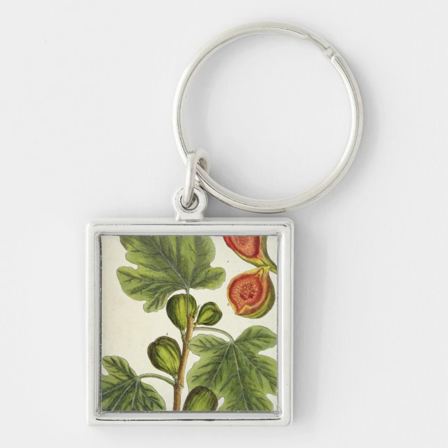 The Fig Tree, plate 125 from 'A Curious Herbal', p Key Ring (Front)