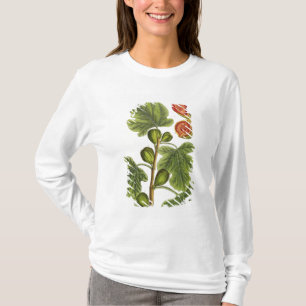 The Fig Tree, plate 125 from 'A Curious Herbal', p T-Shirt