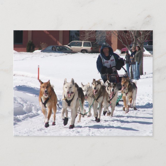 The Final Stretch Postcard (Front)