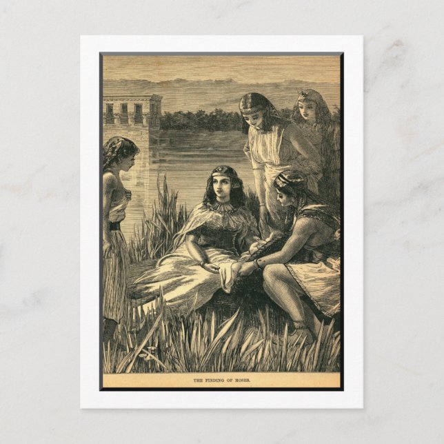 The Finding of Moses, Bible, Vintage Postcard (Front)