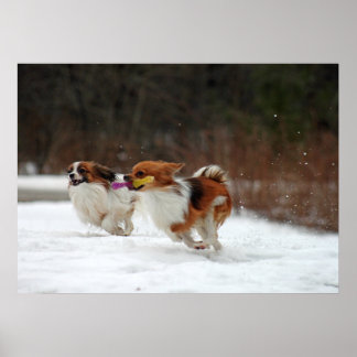 The first day of winter 2012 poster