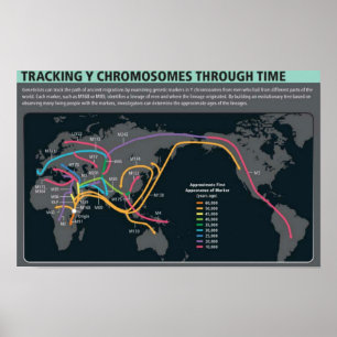 The first migration Poster