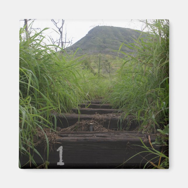 The first step invites hikers up Koko Crater Magnet (Front)
