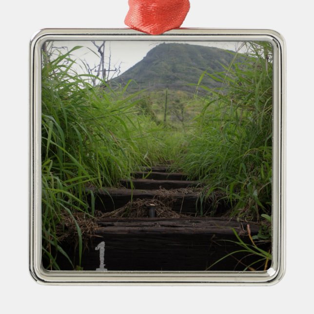 The first step invites hikers up Koko Crater Metal Tree Decoration (Front)
