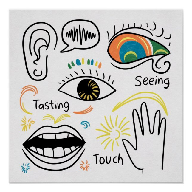 The Five Senses Poster (Front)