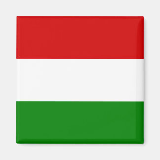 The Flag of Hungary Magnet