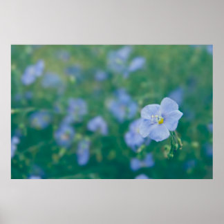 The Flax Fairy Poster
